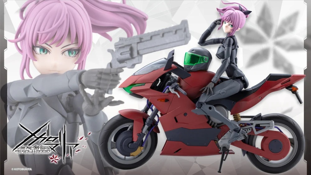 The plastic model 